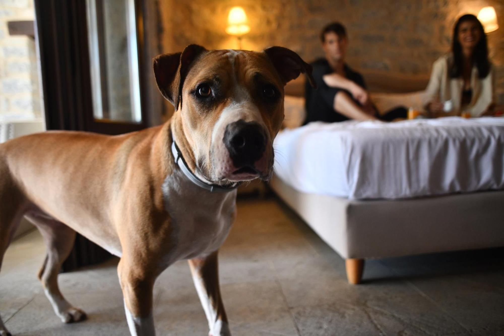 Petra & Fos Boutique Hotel & Spa Oitylo Eksteriør billede